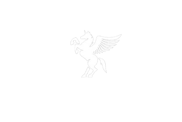 Pegasus Logo